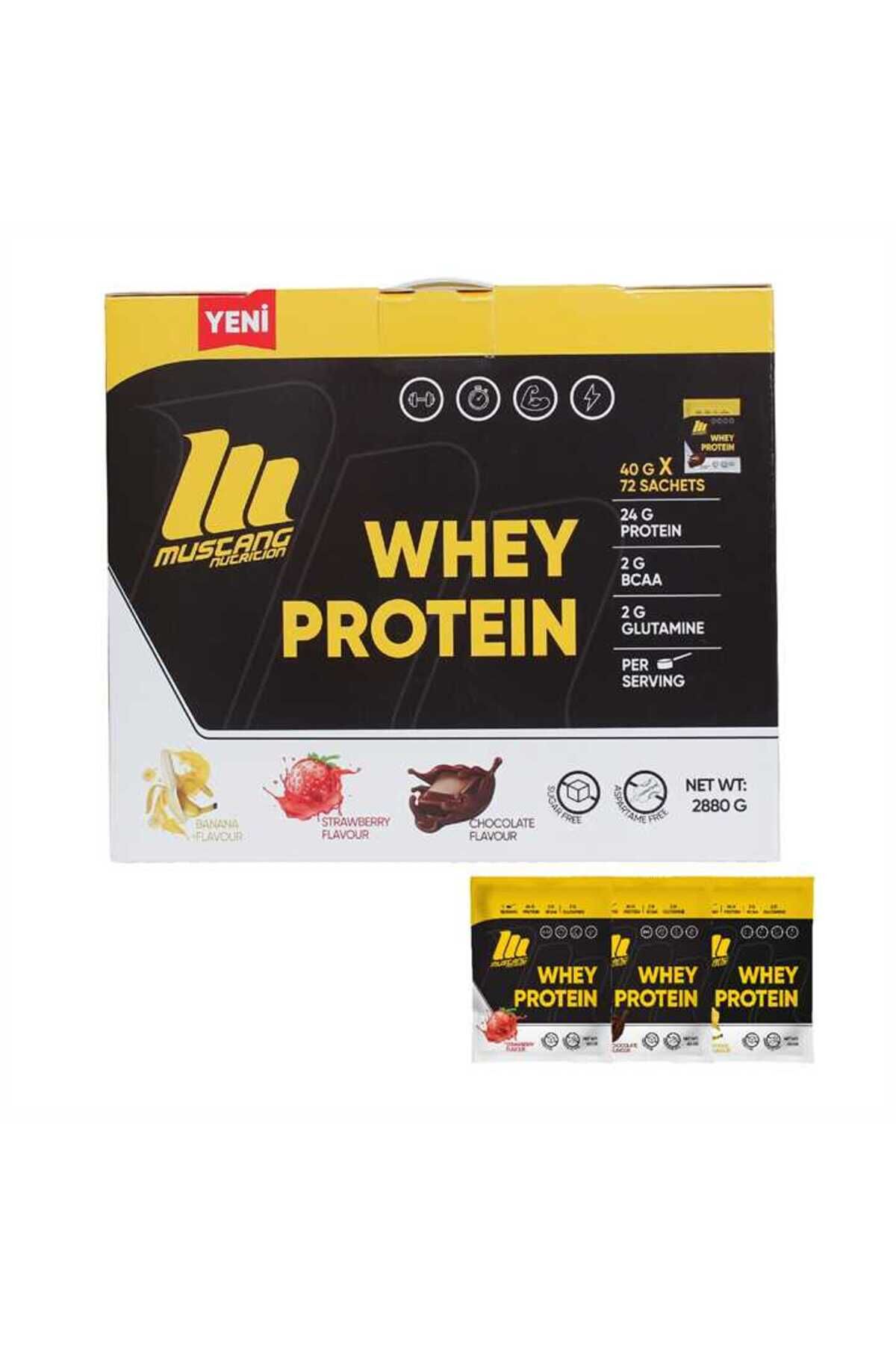 Mustang Whey Protein 72 Saşe X 40 Gr Mix Aroma