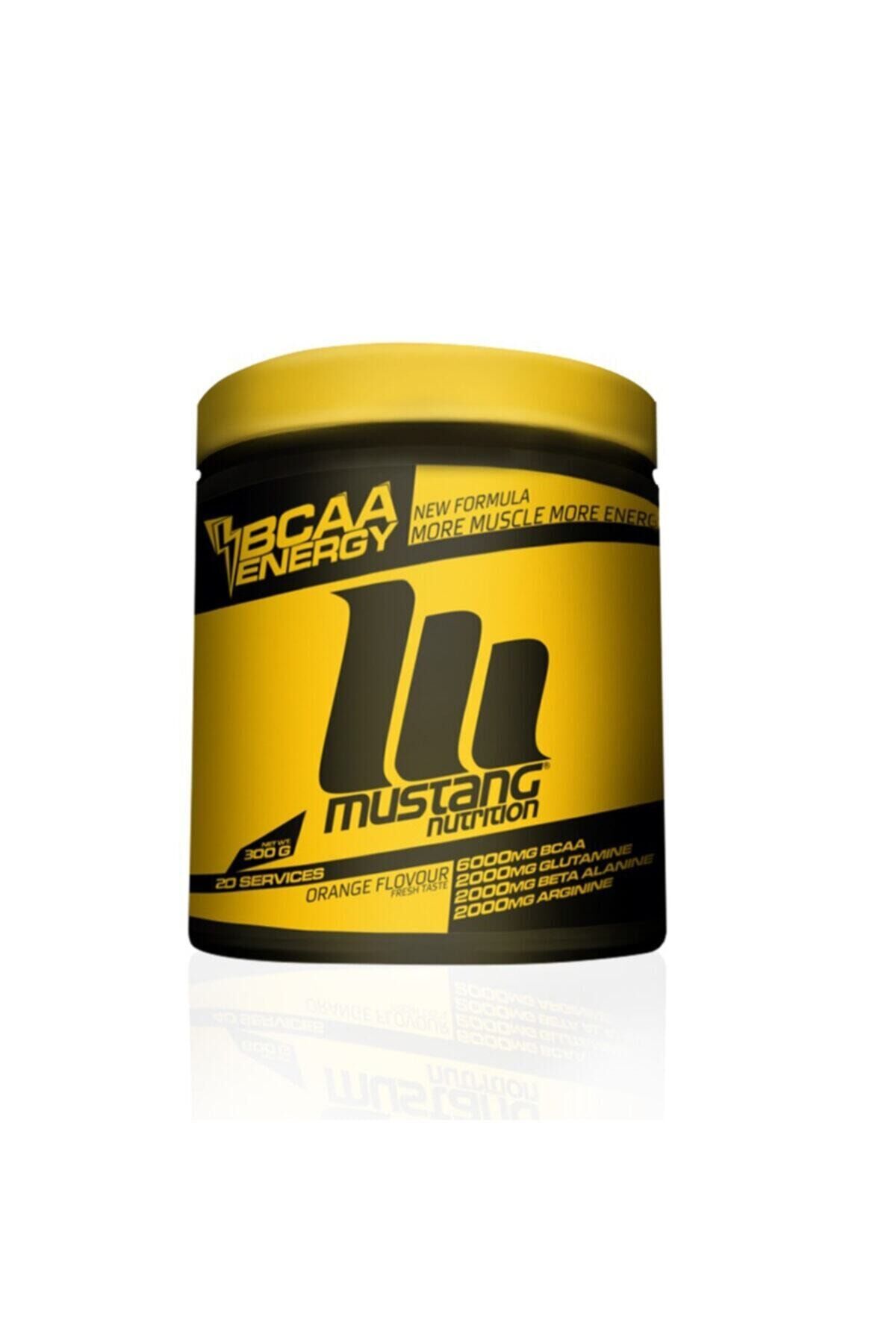 Bcaa Energy 300 Gr